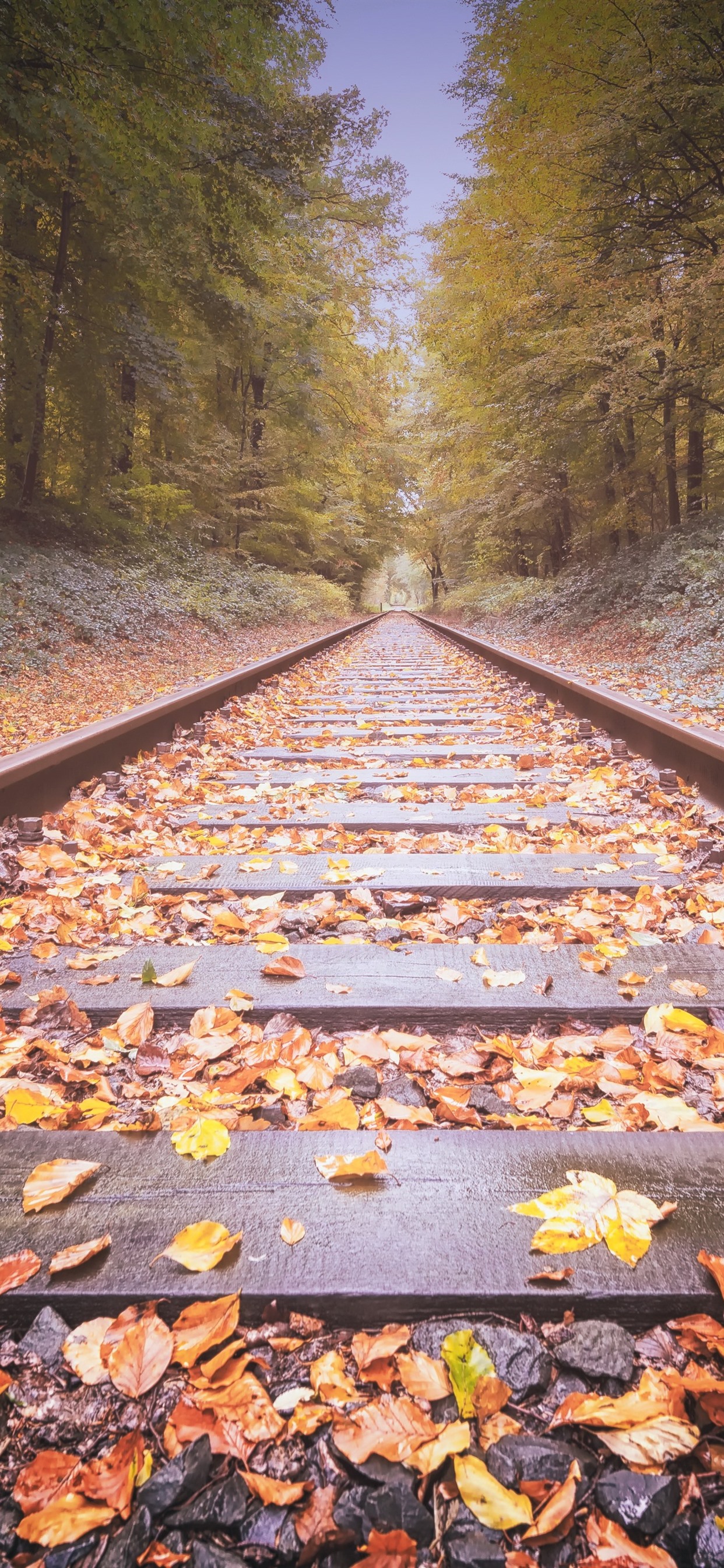 Autumn Train Wallpapers - Wallpaper Cave