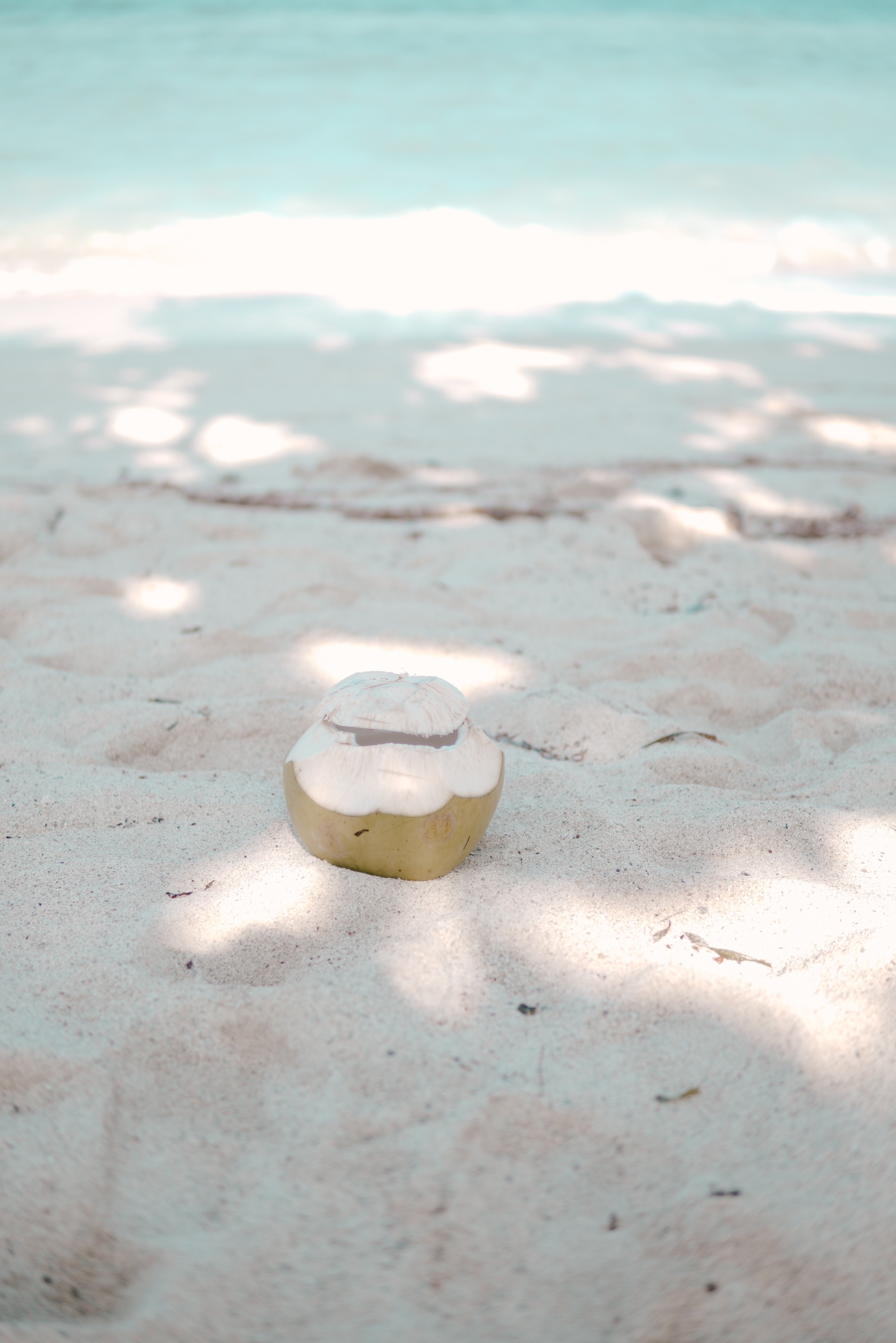 Wallpaper / coconut 4k wallpaper