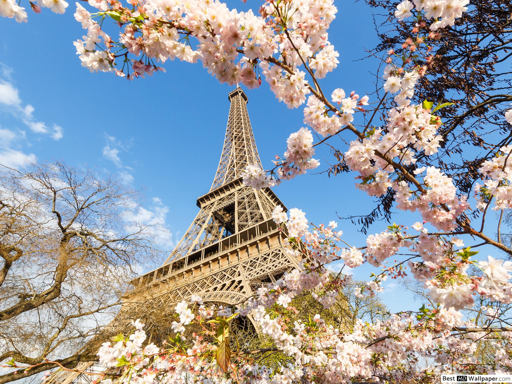 Eiffel Tower in Spring HD wallpaper download