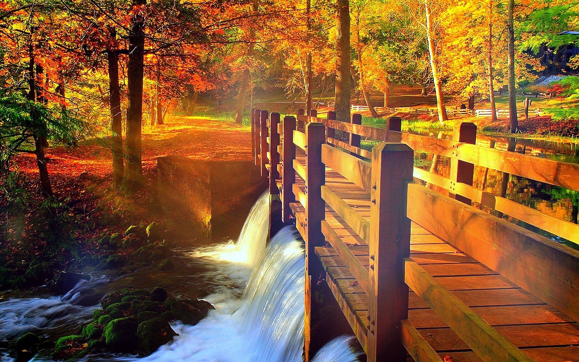 Autumn Panoramic Wallpaper Free Autumn Panoramic Background