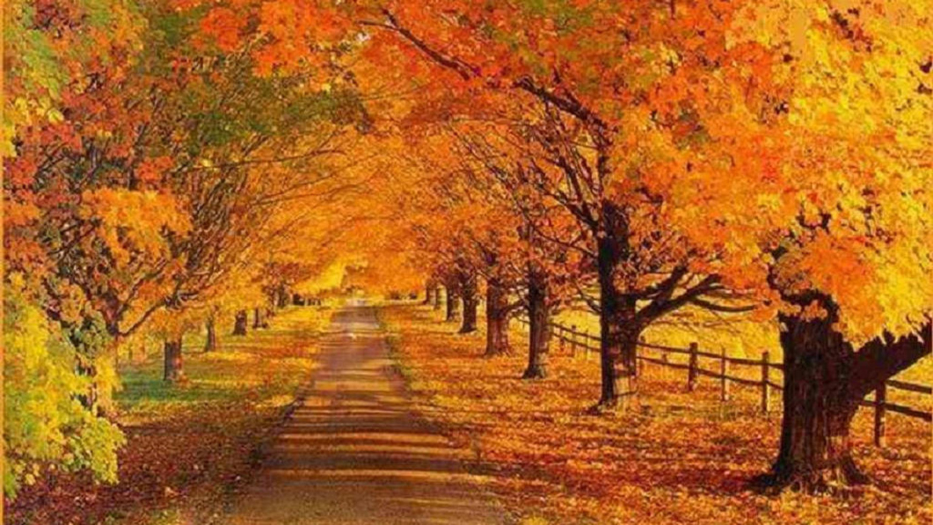Fall Landscape Wallpaper