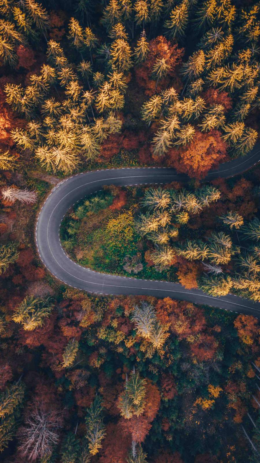 U Road Autumn Forest Aerial View IPhone Wallpaper Wallpaper, iPhone Wallpaper