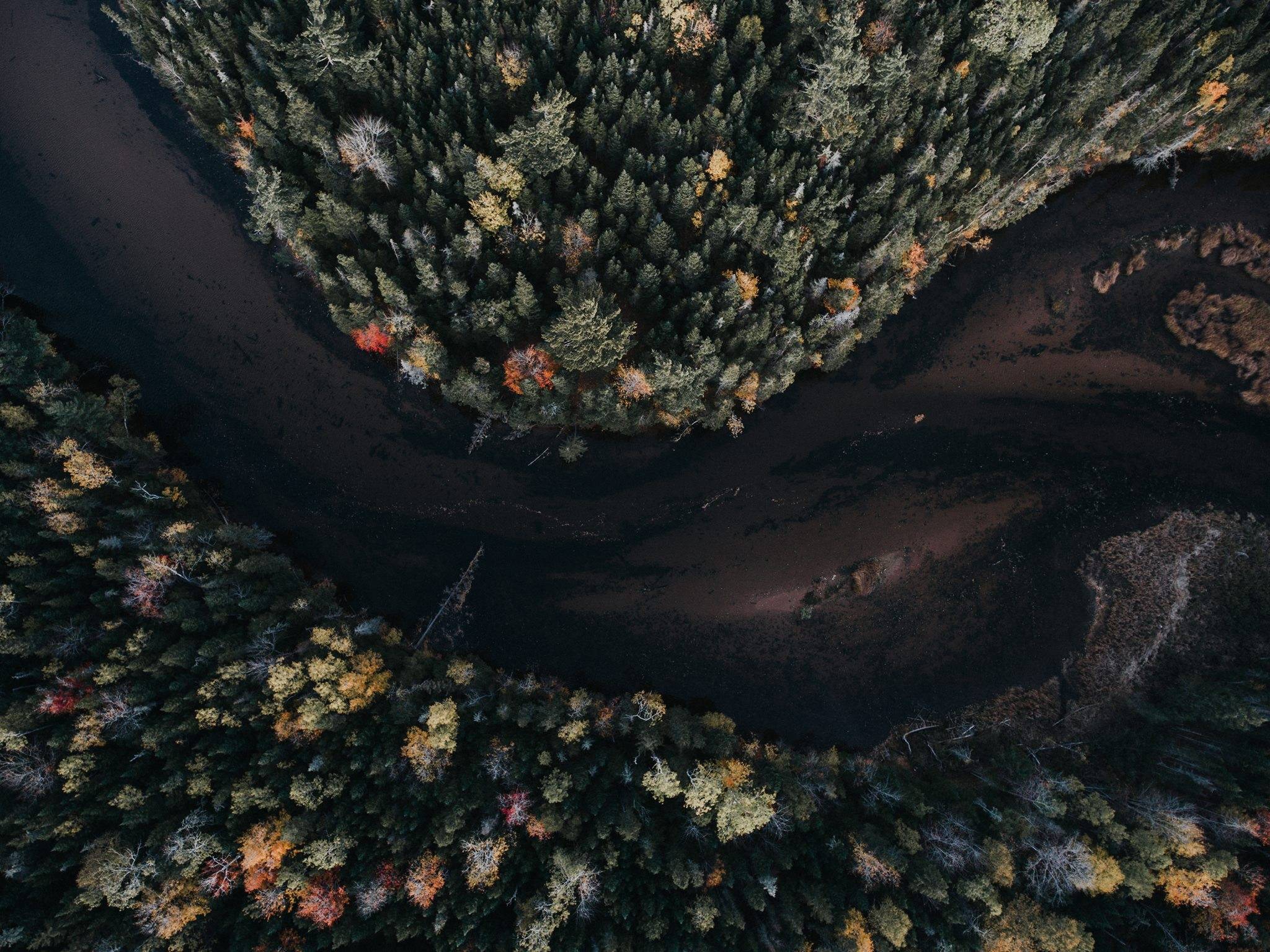 Aerial View Autumn Trees, HD Nature, 4k Wallpaper, Image, Background, Photo and Picture