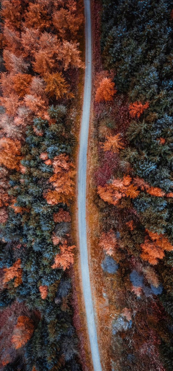 Autumn Road Aerial View Wallpaper - [720x1544]