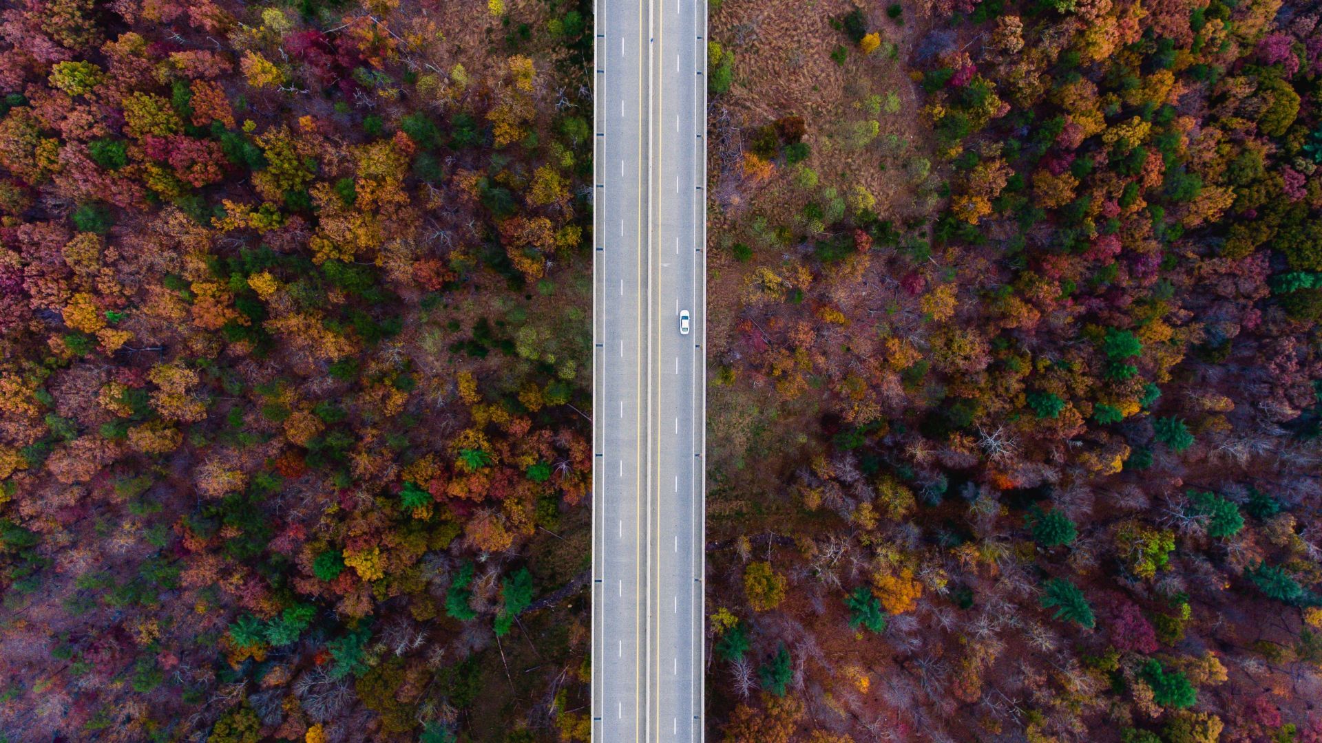Desktop Wallpaper Road, Trees, Aerial View, Autumn, 4k, HD Image, Picture, Background, Ghyosh
