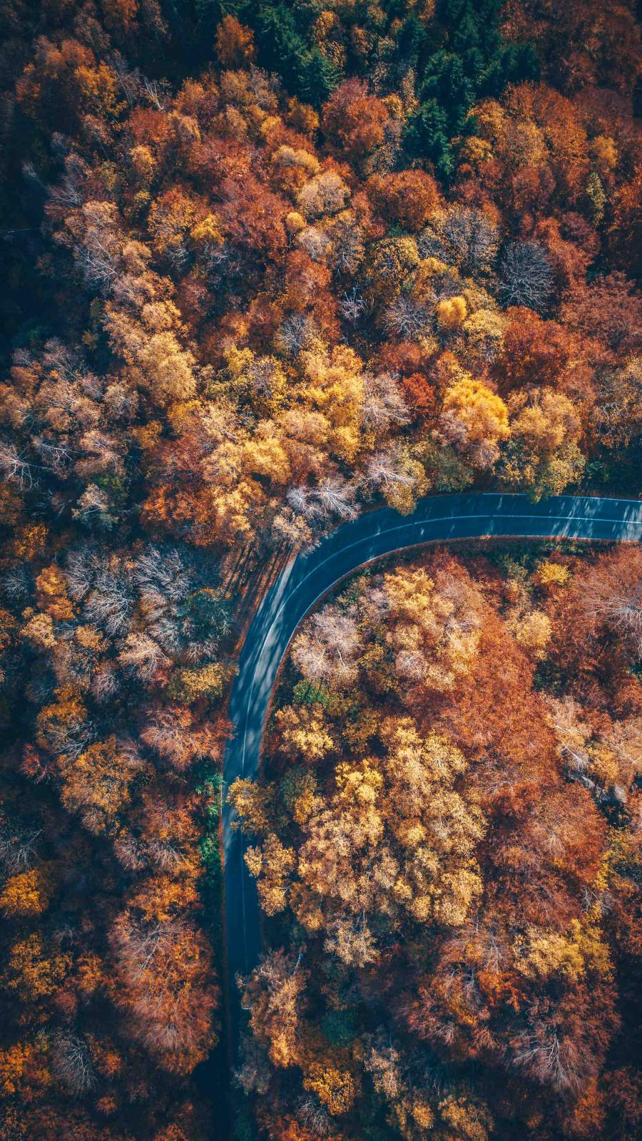 Autumn Nature Road Aerial View IPhone Wallpaper Wallpaper, iPhone Wallpaper