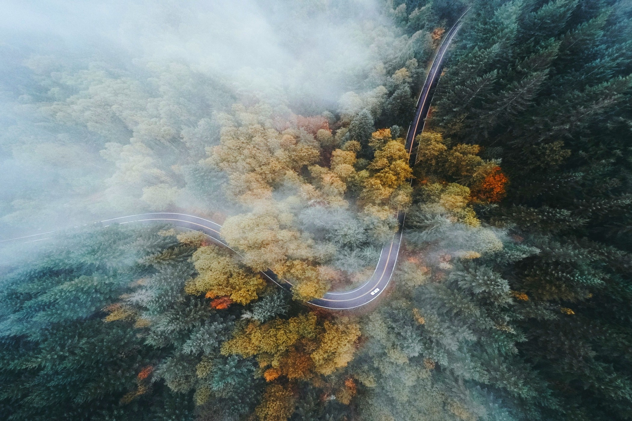 landscape, Nature, Oregon, Forest, Road, Highway, Fall, Mist, Drone, Aerial View, Trees Wallpaper HD / Desktop and Mobile Background