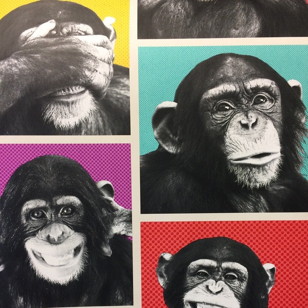 Chimp Wallpaper