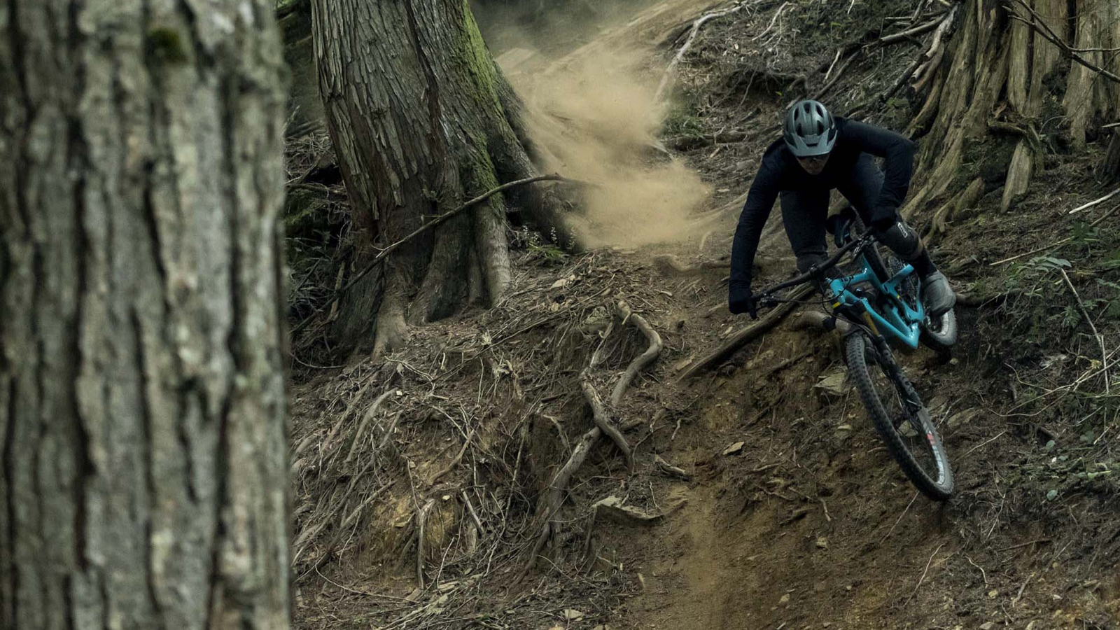 Best enduro mountain bike: carbon and alloy enduro bikes for all skill sets