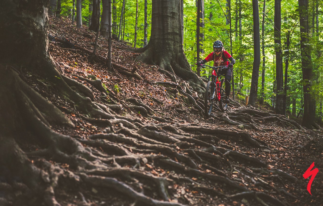 Wallpaper forest, girl, nature, bike, roots, sport, track, helmet, braids, bike, bicycle, cycle, Cycling, specialized, mtb, Enduro image for desktop, section спорт