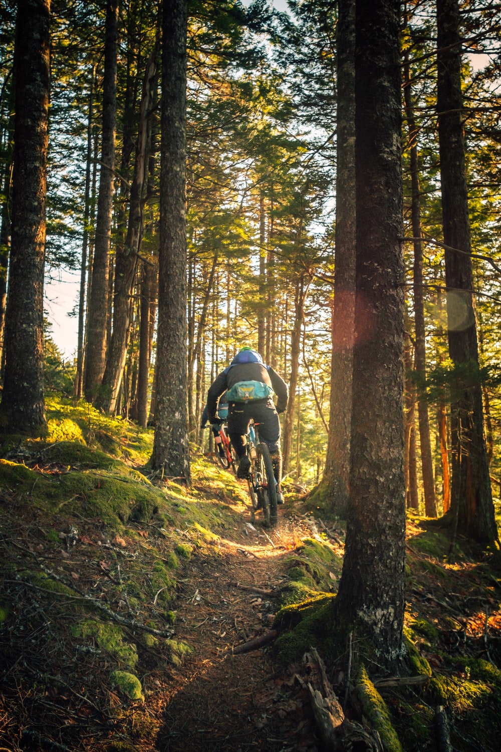 Mountain Bike Picture. Download Free Image