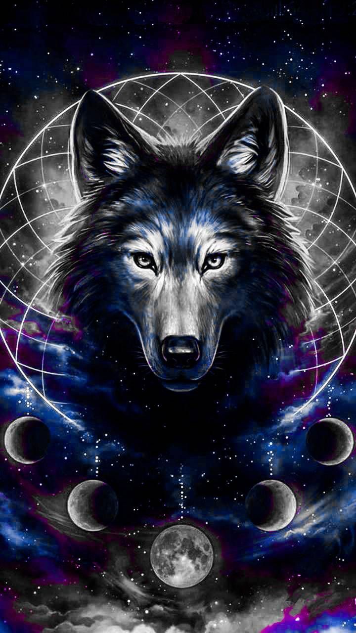 Download GALAXY WOLF Wallpaper by 40888 now. Browse millions of popular. Cute animal drawings, Animal drawings, Wolf spirit animal