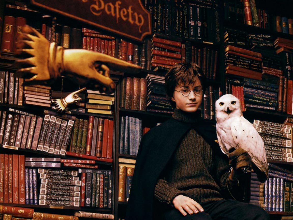 Гарри Поттер и философский камень Букля