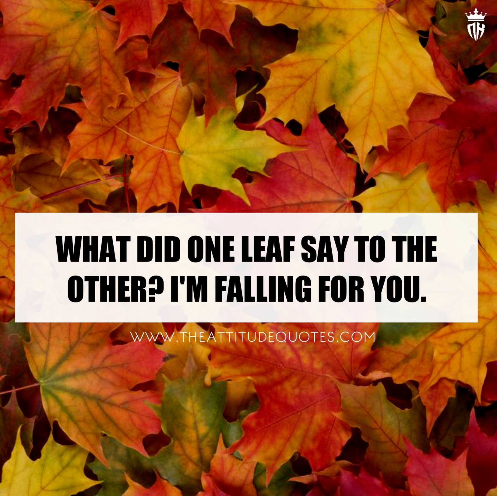 Fall Quotes And Image 2021. Autumn Quotes. Best Quotes About Autumn