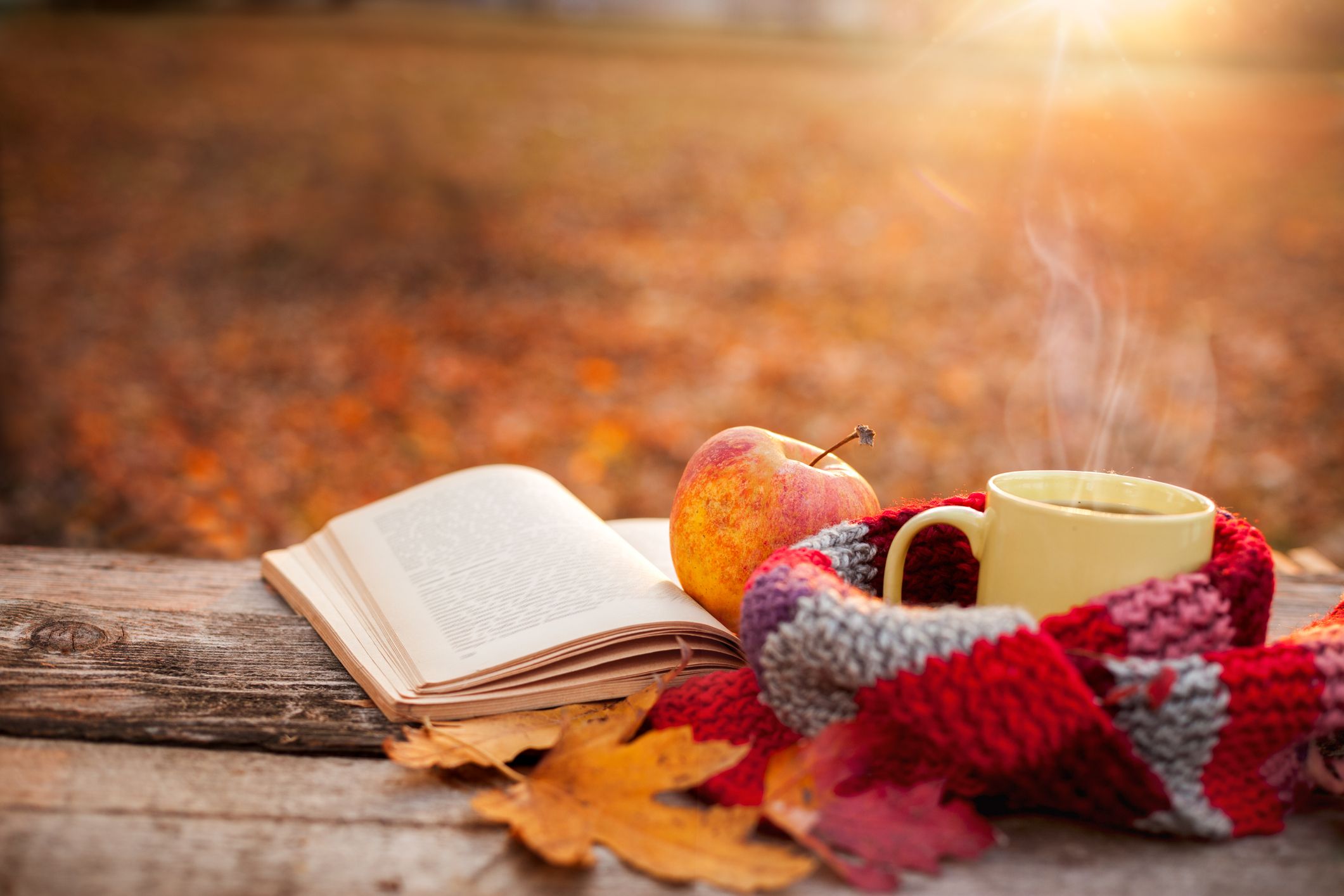 Best Fall Quotes About Autumn Sayings About Autumn