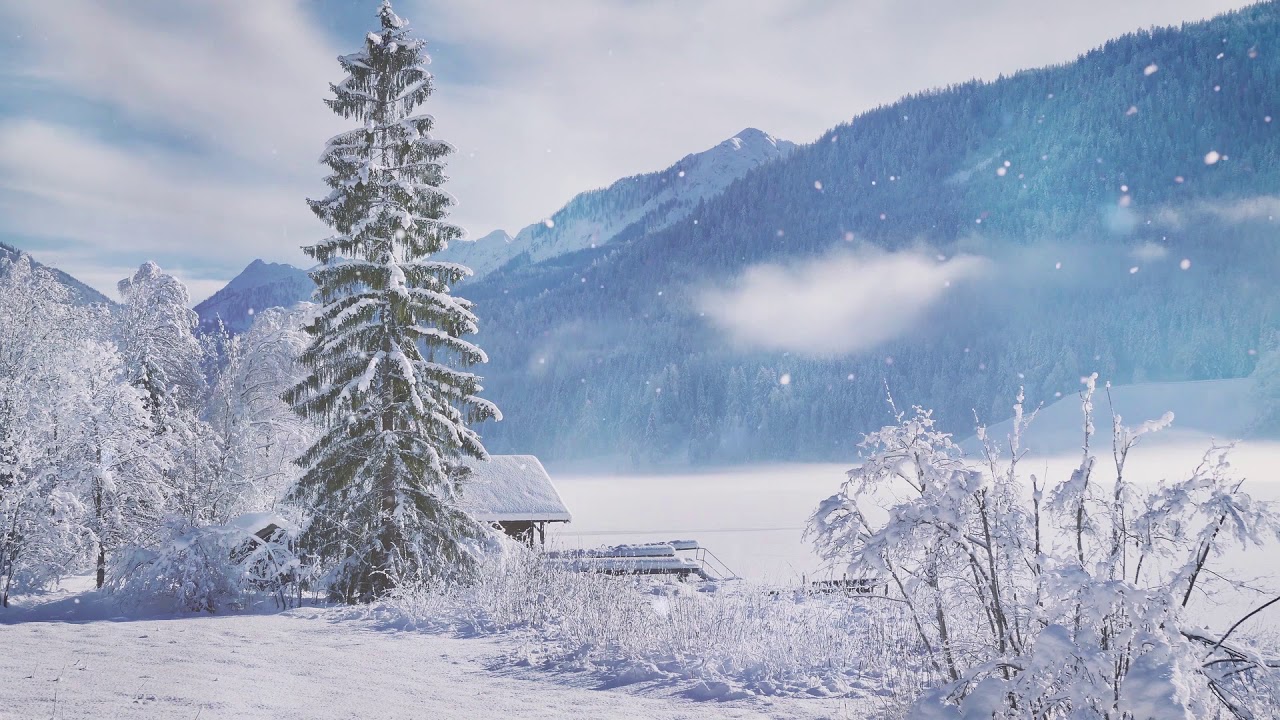 Christmas winter wonderland background video with relaxing music (Smart TV background)