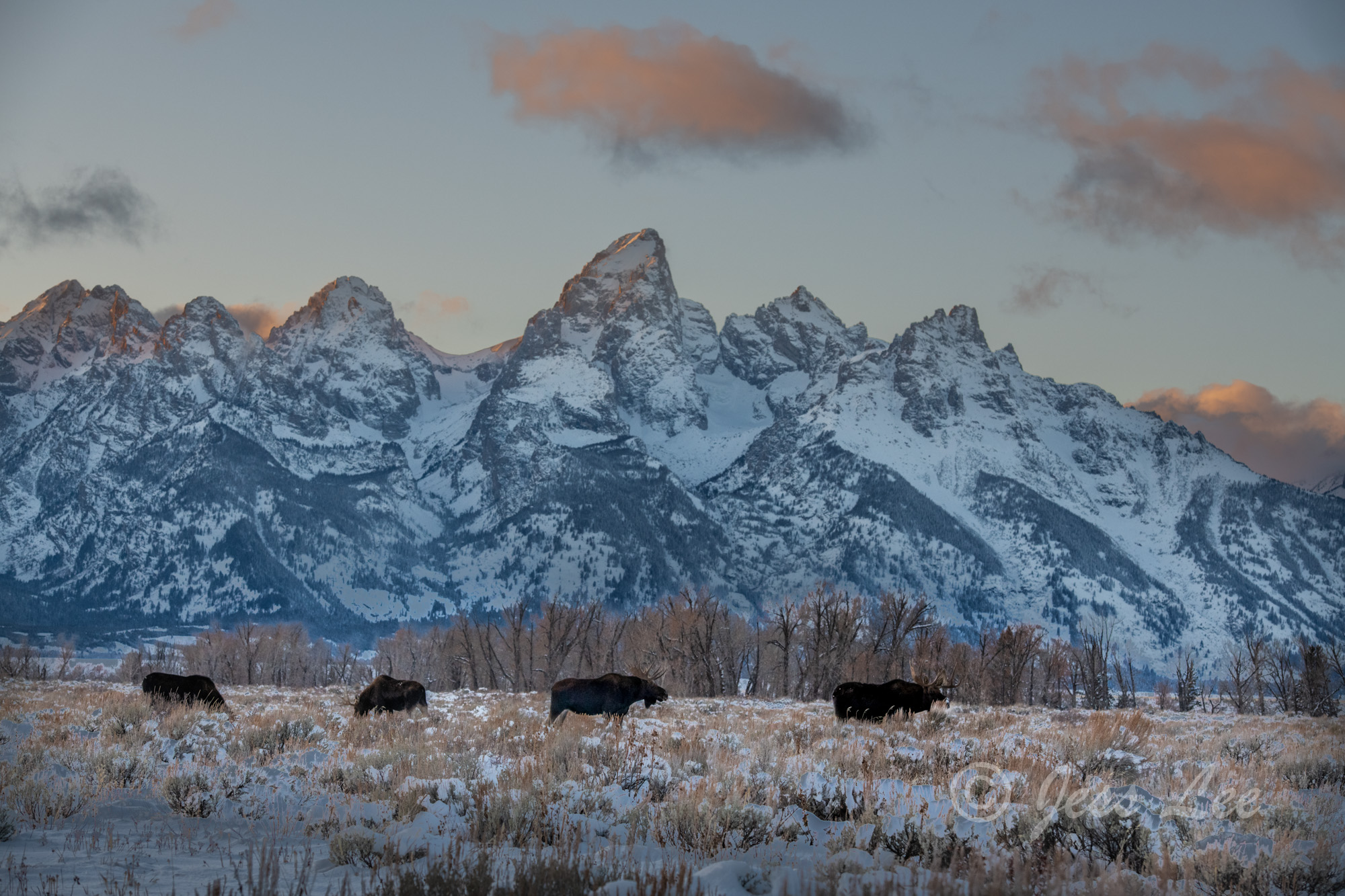 Grand Teton Early Winter Photography Workshop and Instructional Photo Tour. Jess Lee Photo