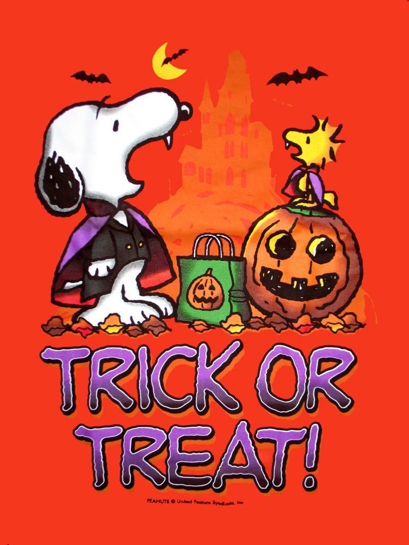 Trick or Treat!. Snoopy halloween, Snoopy, Charlie brown halloween