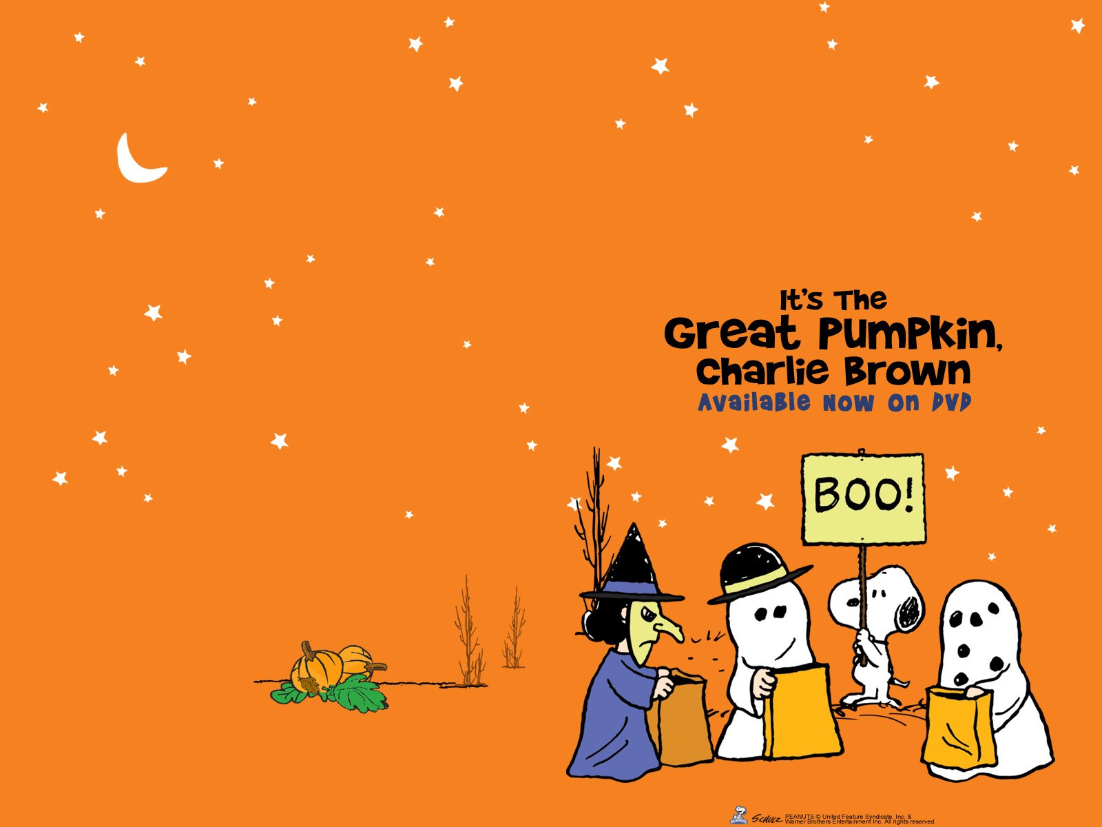 Great Pumpkin Charlie Brown Wallpaper HD