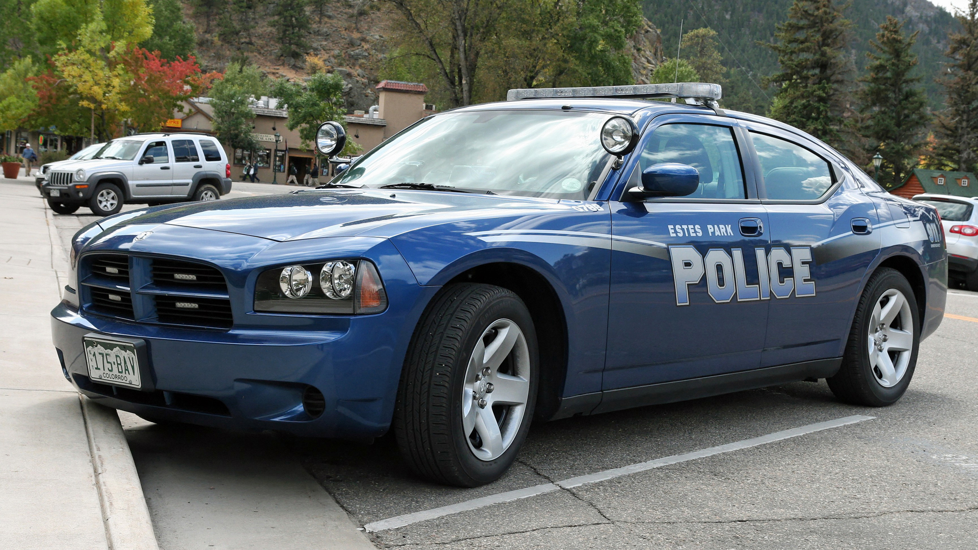 Police Wallpaper:1920x1080