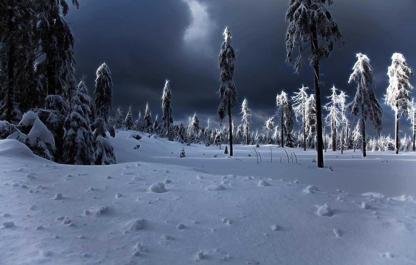 Wallpaper winter, snow, the snow, tree, winter apocalypse image for desktop, section природа