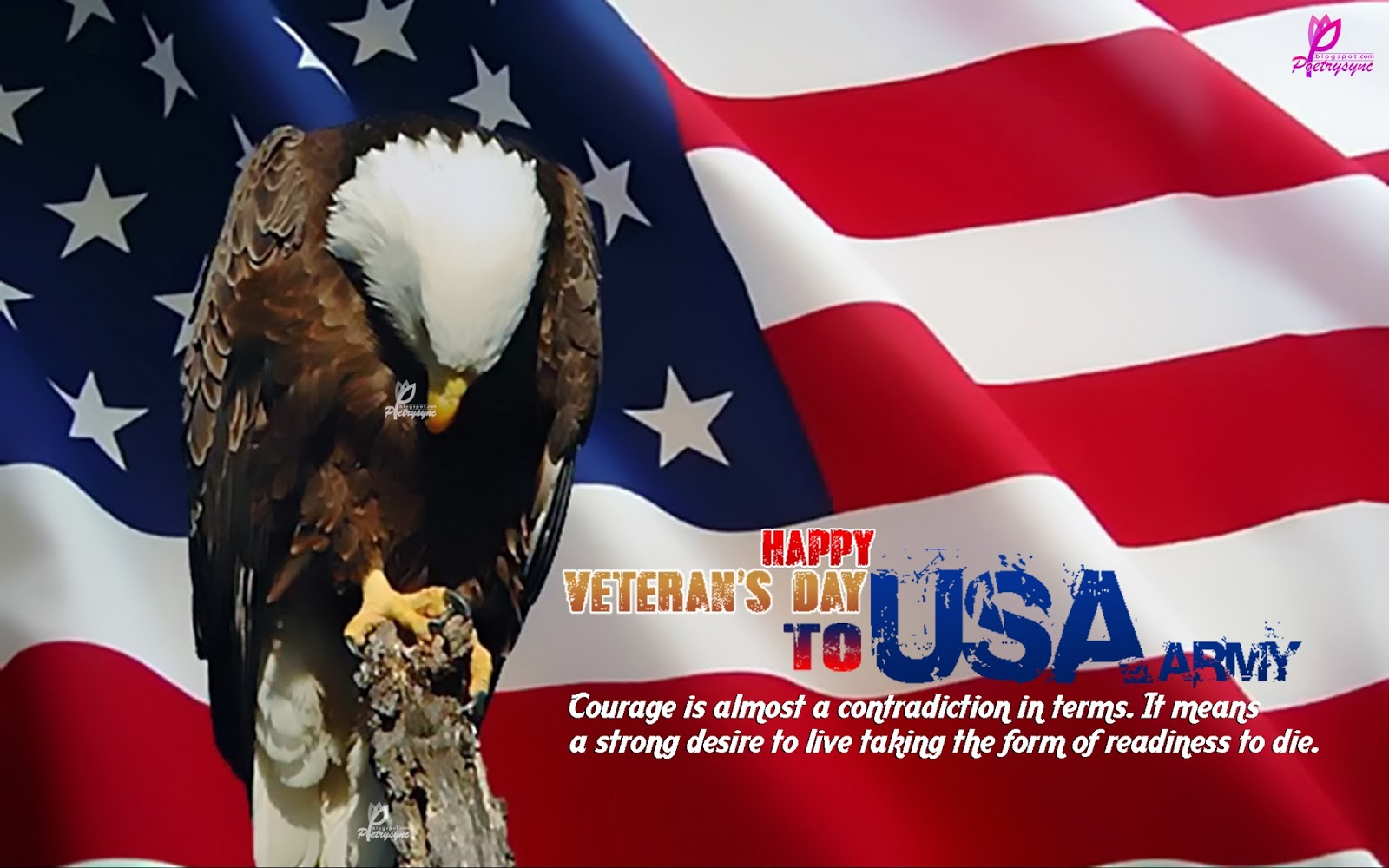 Veterans Day Eagle Wallpaper Free Veterans Day Eagle Background