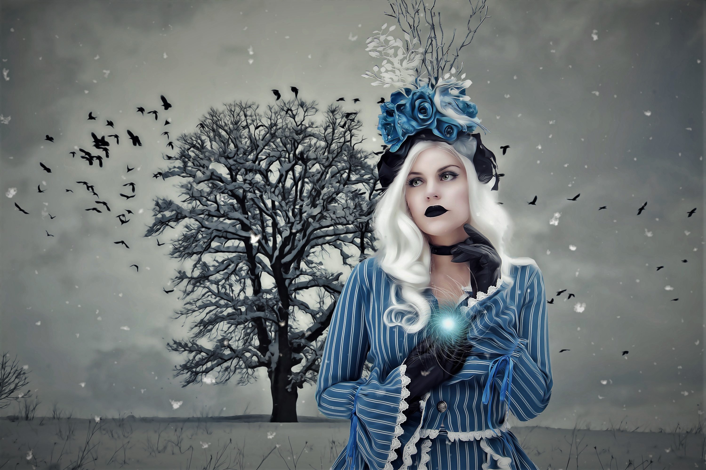 Winter, Woman, Blue Rose, Gothic, Girl, Bird, Snow, White Hair, Lipstick, Fantasy, Rose wallpaper