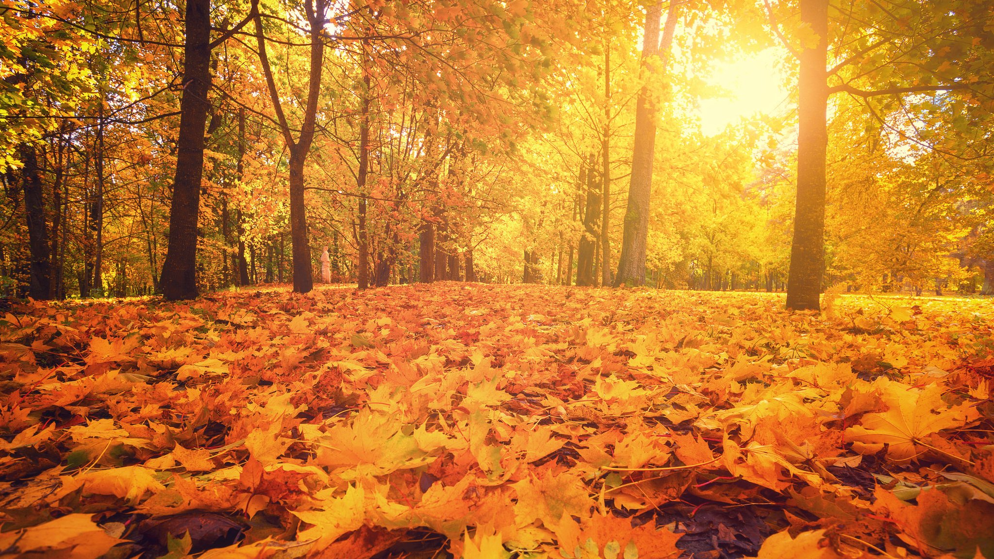 Autumn equinox: When does autumn begin?
