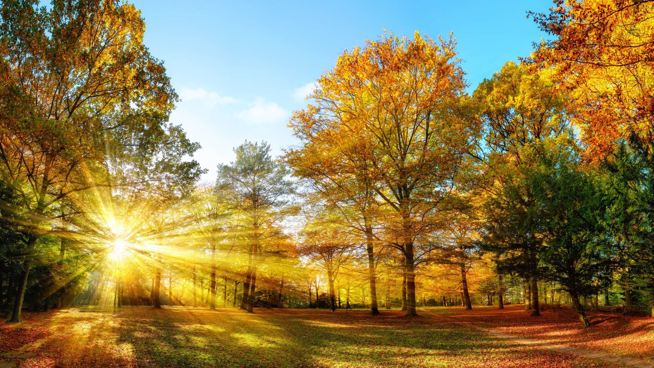 Autumn Equinox: The Science Behind the First Day of Fall