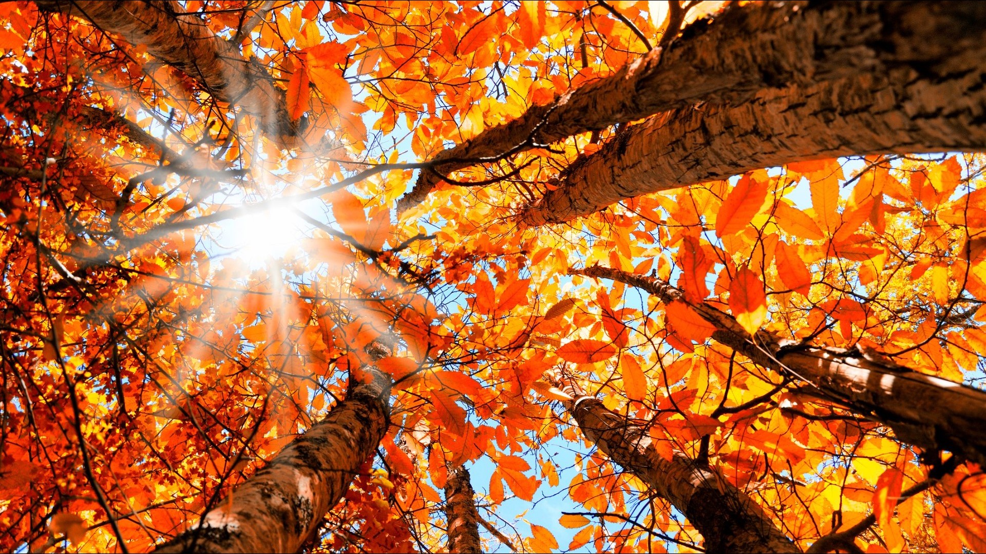What does the fall equinox mean?