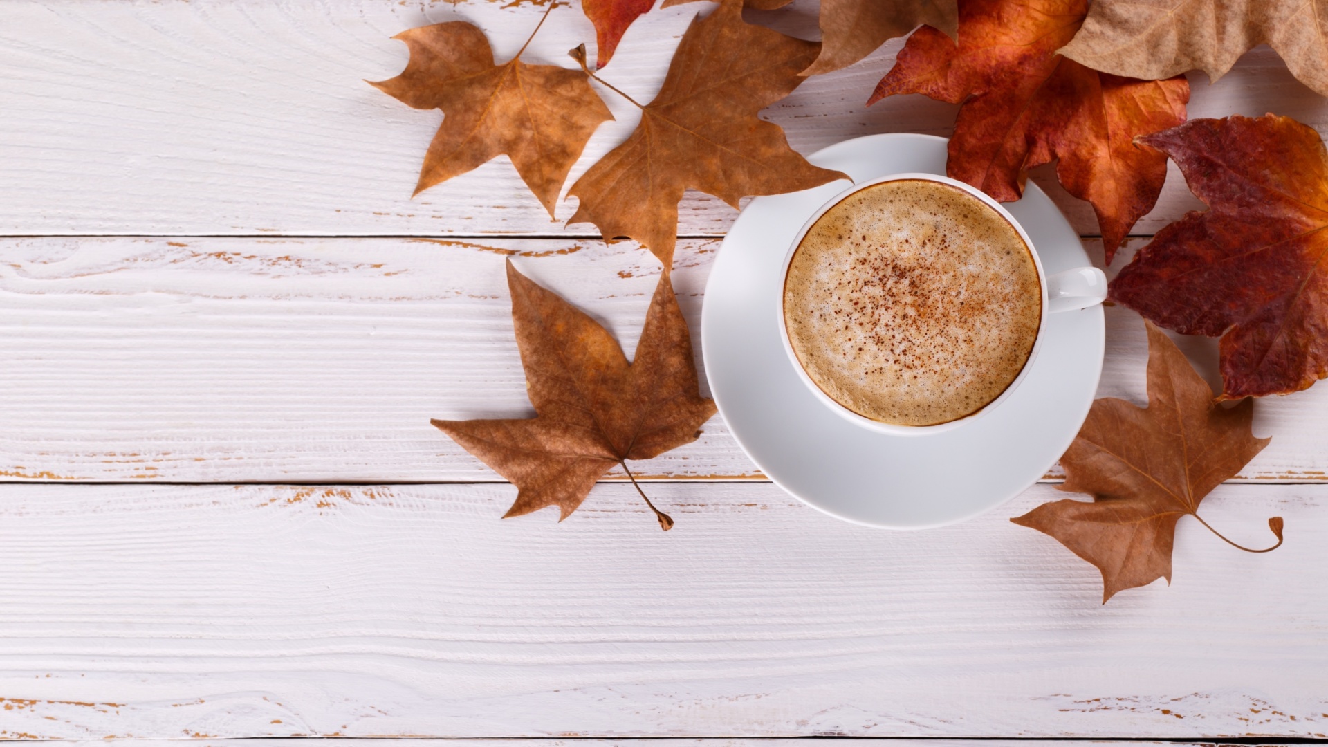 Cozy autumn morning with a cup of hot coffee Wallpaper for 1920x1080