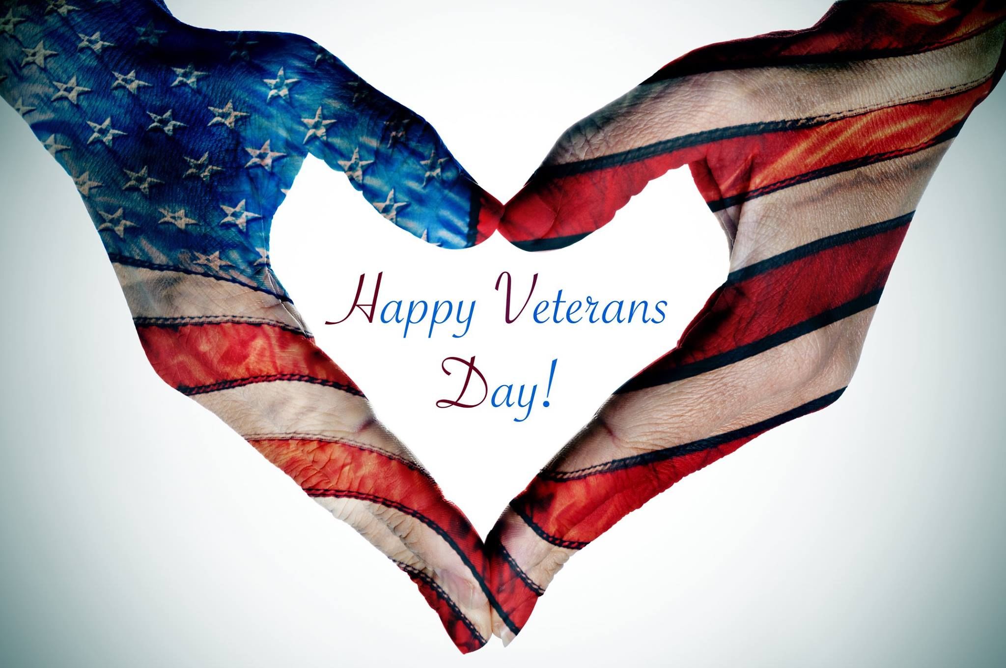 Happy Veterans Day Dad Quotes