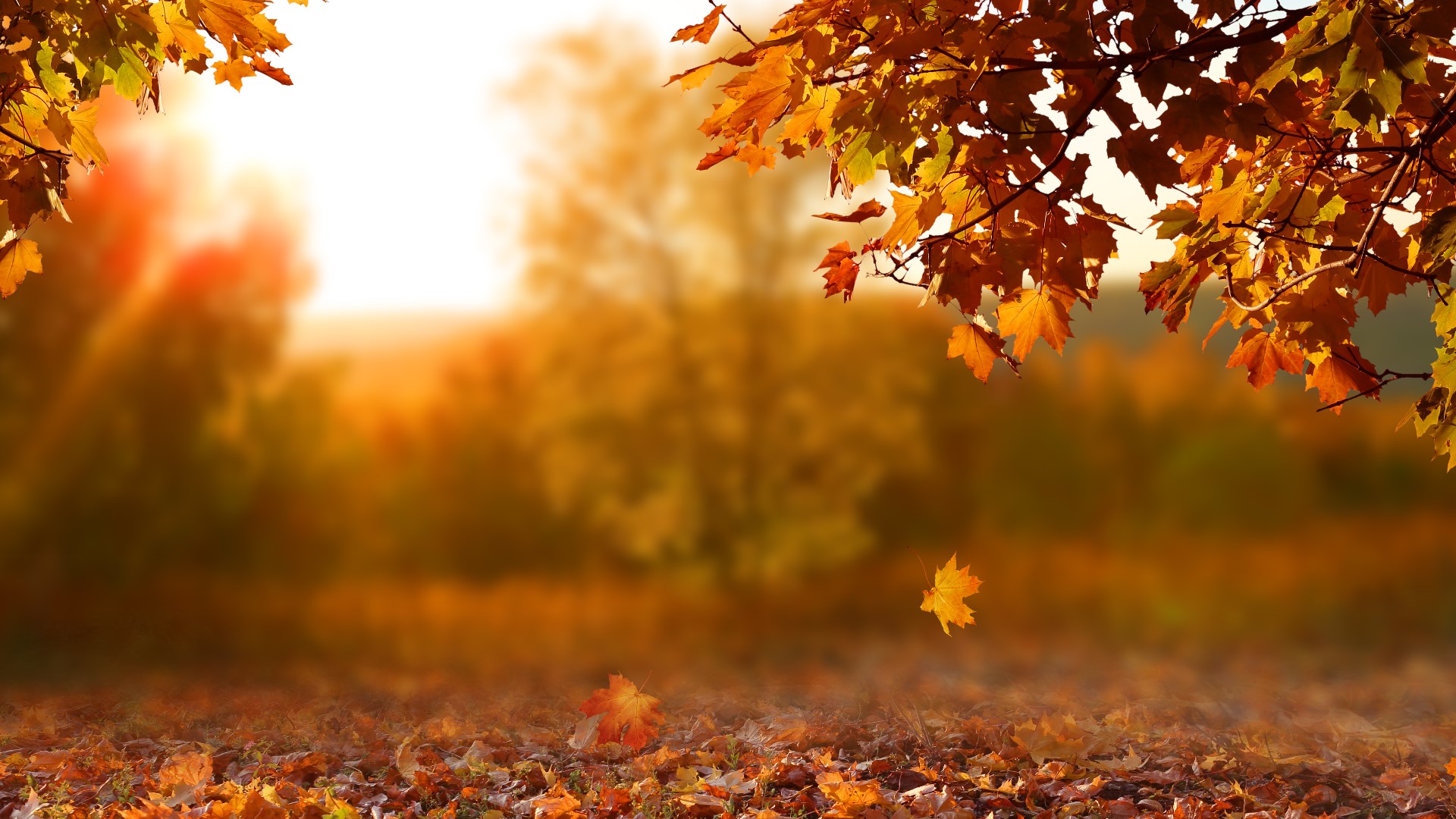 What is the autumnal equinox?