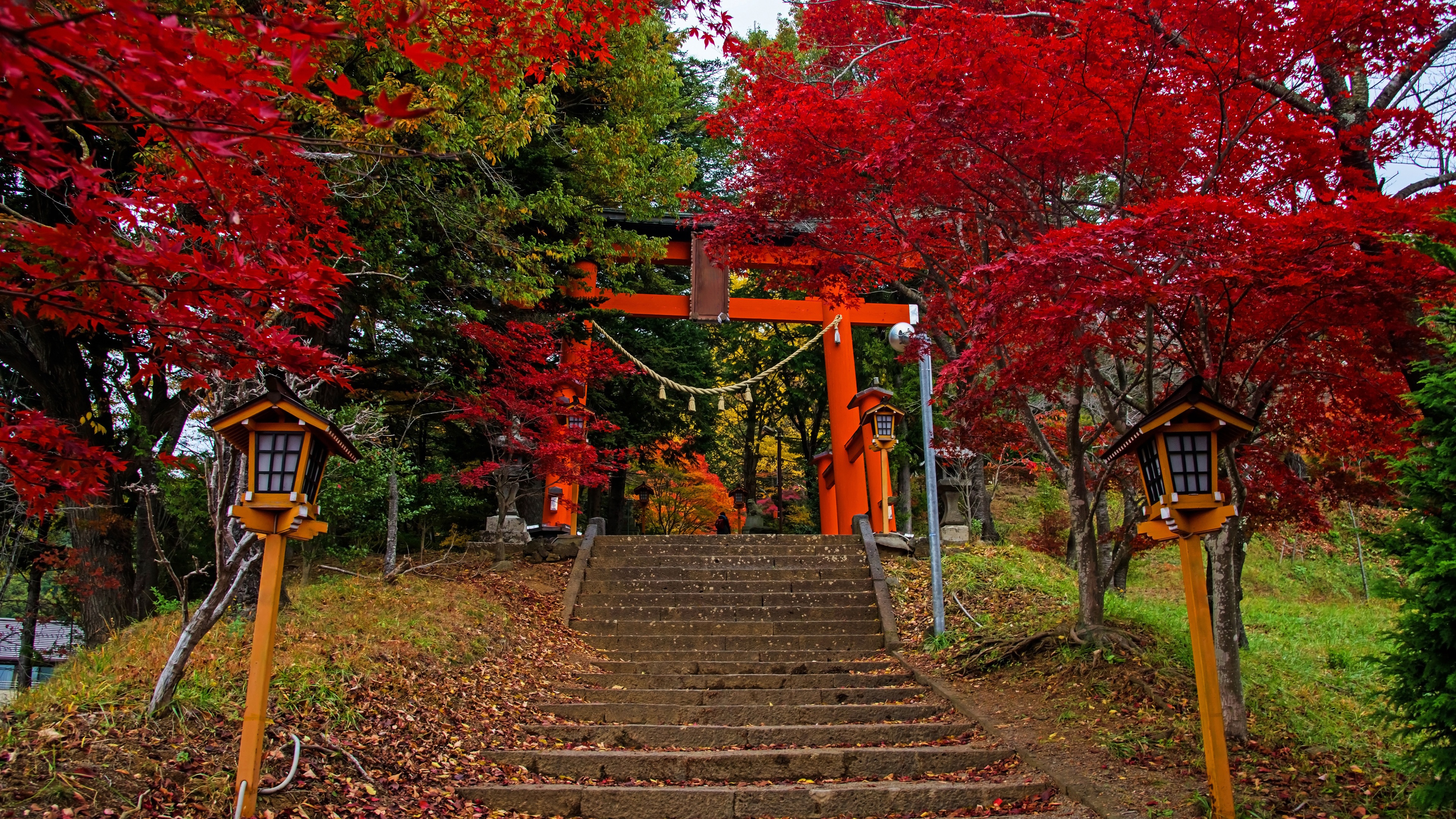 Wallpaper Fujiyoshida, gate, ladder, trees, autumn, Japan 3840x2160 UHD 4K Picture, Image