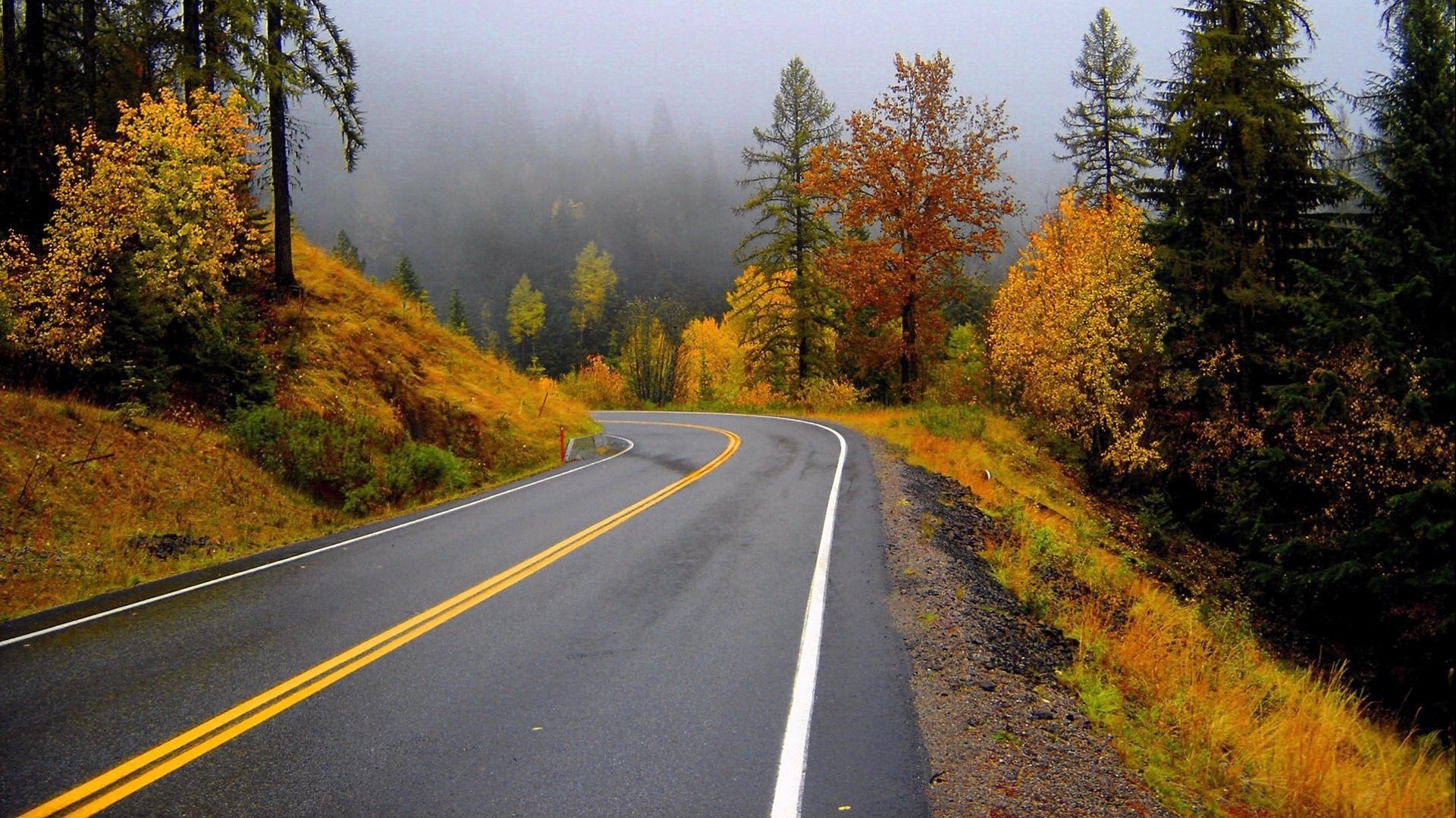 Foggy Autumn Road HD Wallpaper