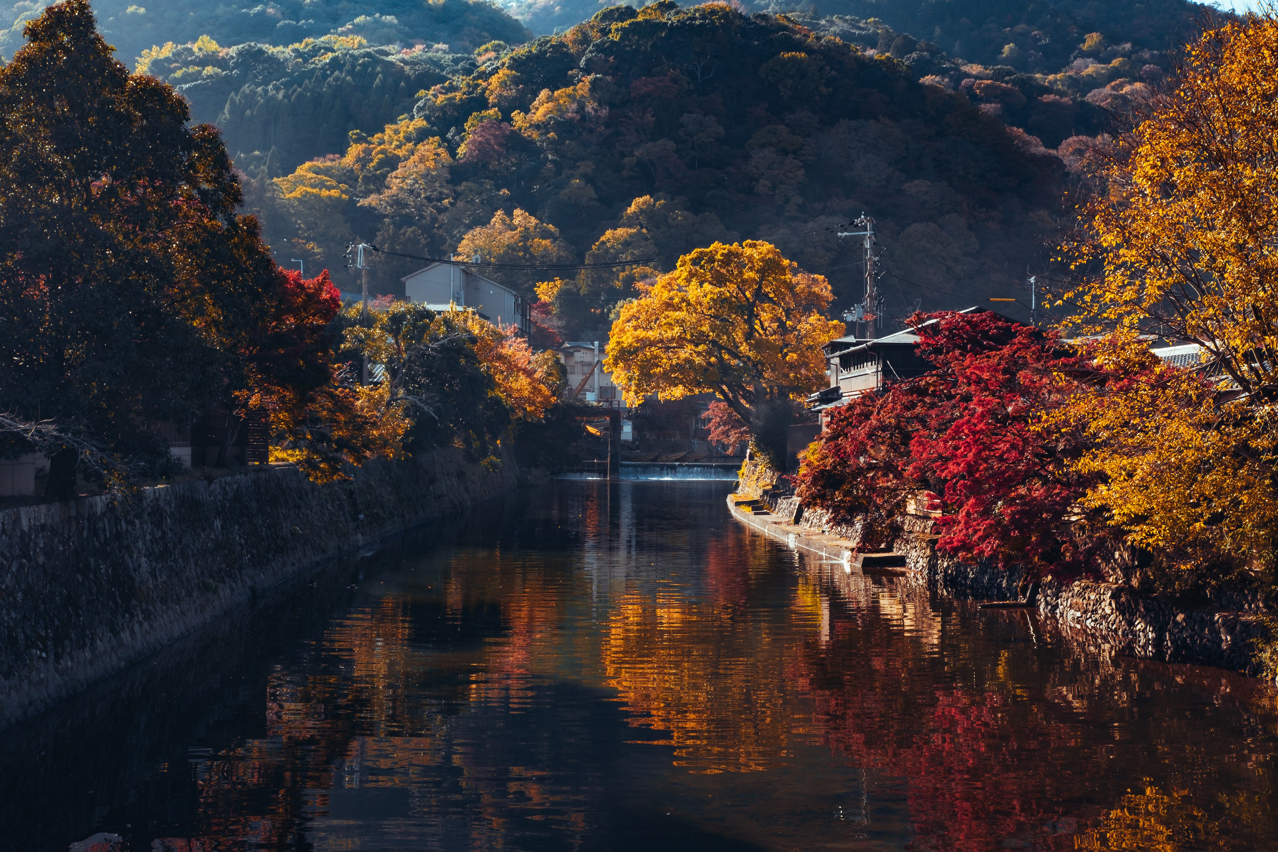 4K, Arashiyama, Japan, Kyoto, Autumn, Mountains, Canal, Trees. Mocah HD Wallpaper
