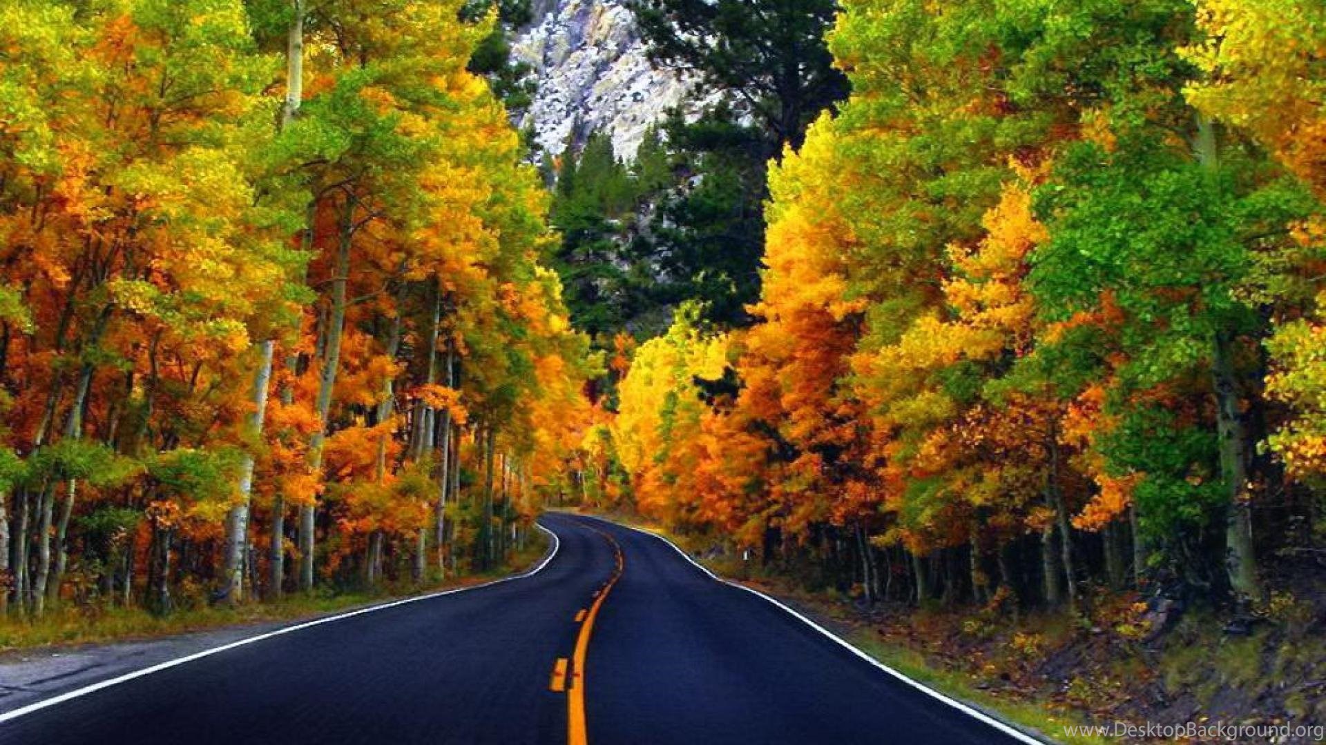Autumn Road Wallpaper Desktop Background