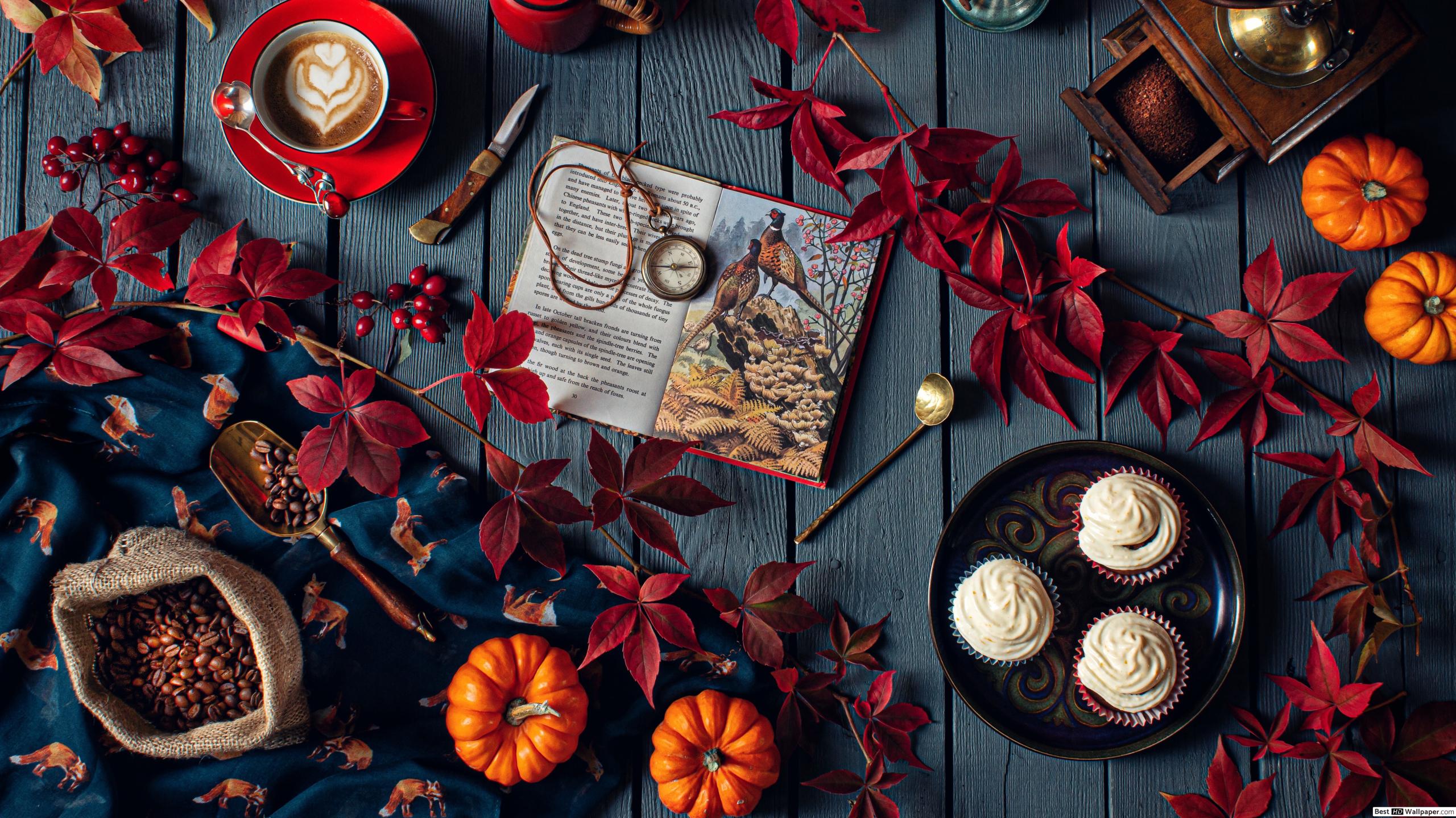 Creative fall concept for Halloween with coffee, cupcakes, pumpkin and books HD wallpaper download