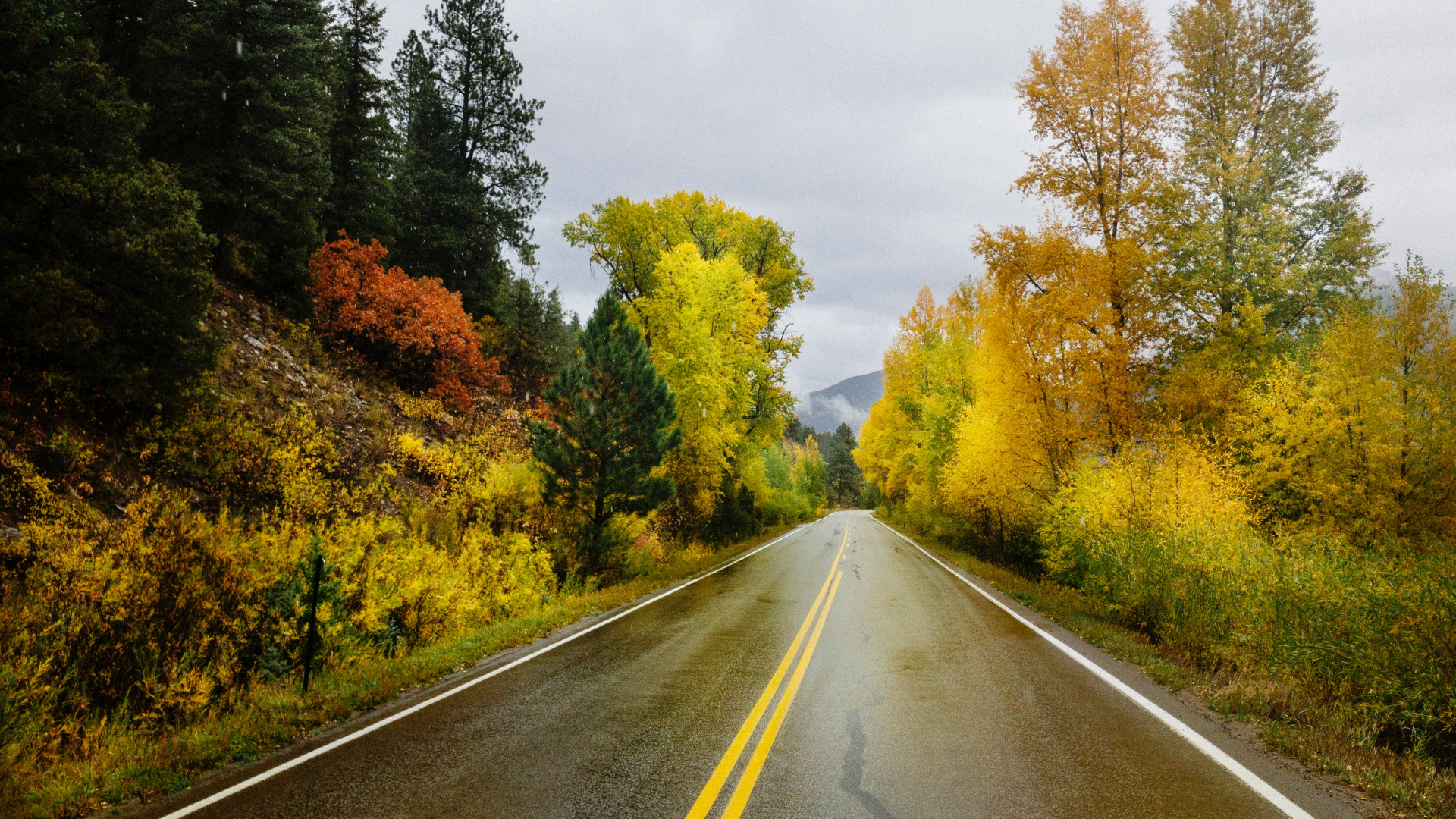 Download Autumn, highway, lone, yellow marks wallpaper, 1920x Full HD, HDTV, FHD, 1080p