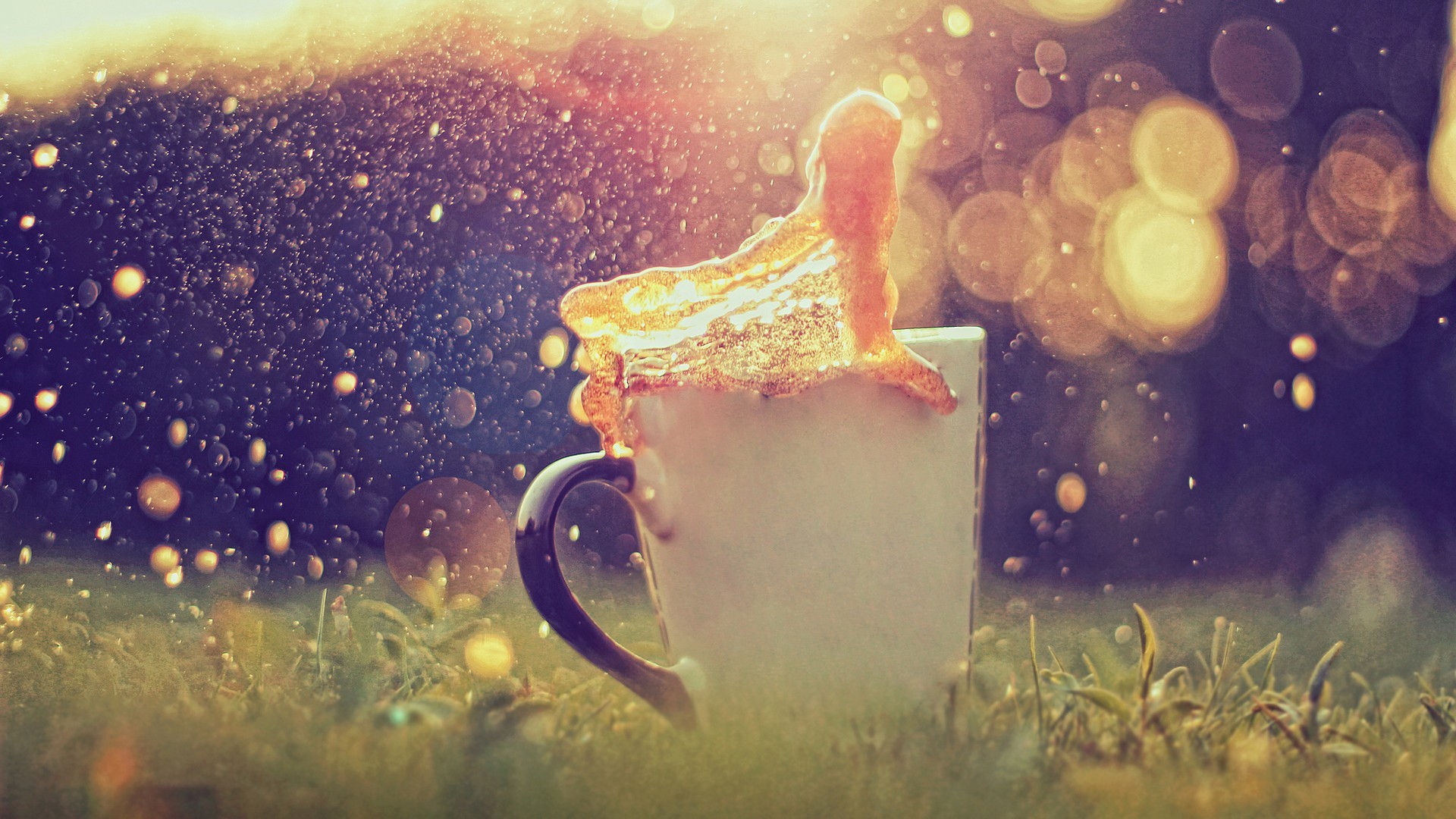 Wallpaper, sunlight, depth of field, reflection, morning, cup, coffee stains, light, autumn, flower, computer wallpaper 1920x1080