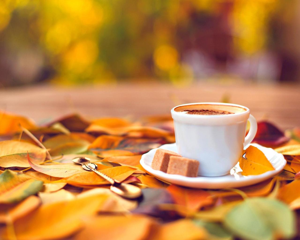 Sweet coffee and an autumn carpet