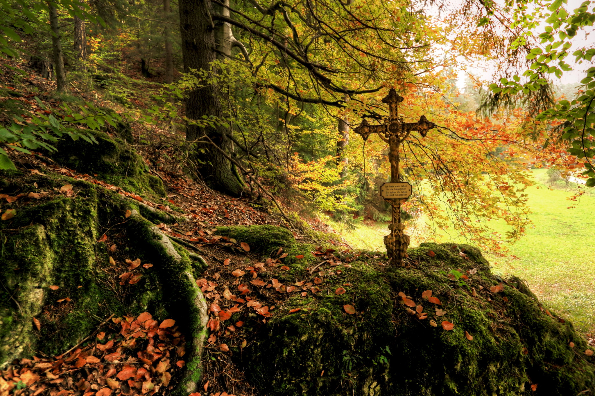 Forests Autumn Foliage Cross Moss Nature gothic wallpaperx1365
