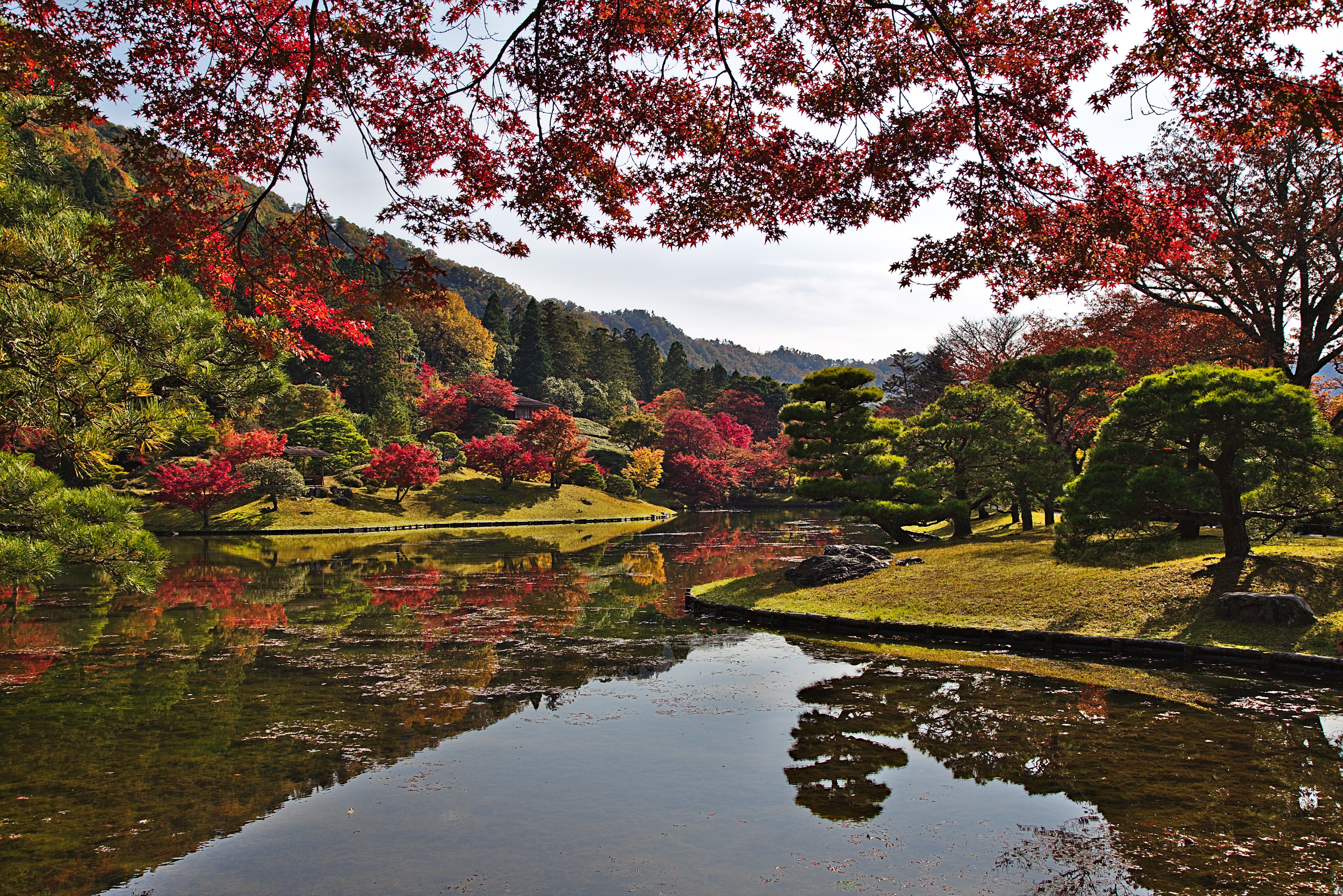 4K, 5K, Kyoto, Japan, Autumn, Parks, Gardens, Pond, Branches, Trees. Mocah HD Wallpaper