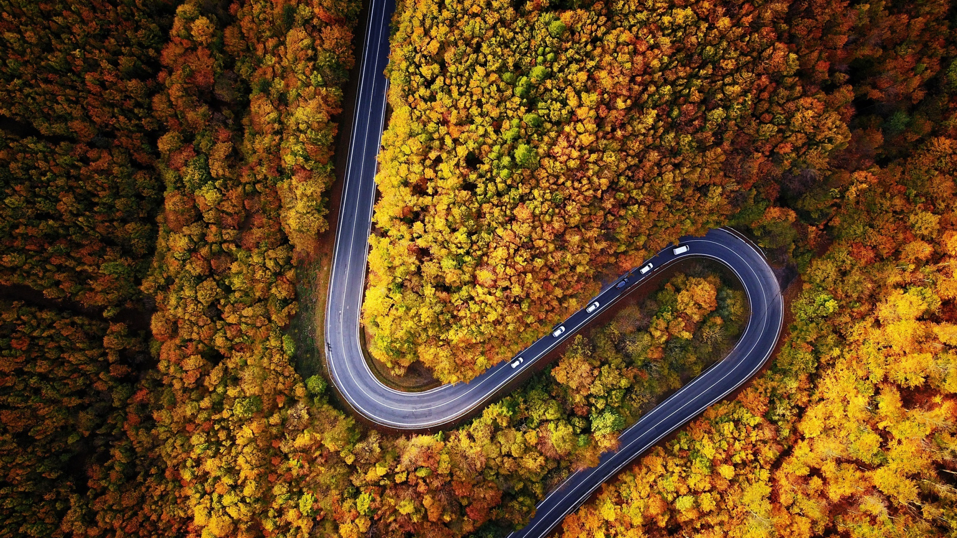 Download 1920x1080 wallpaper highway, turn, forest, autumn, aerial view, full hd, hdtv, fhd, 1080p, 1920x1080 HD image, background, 5973