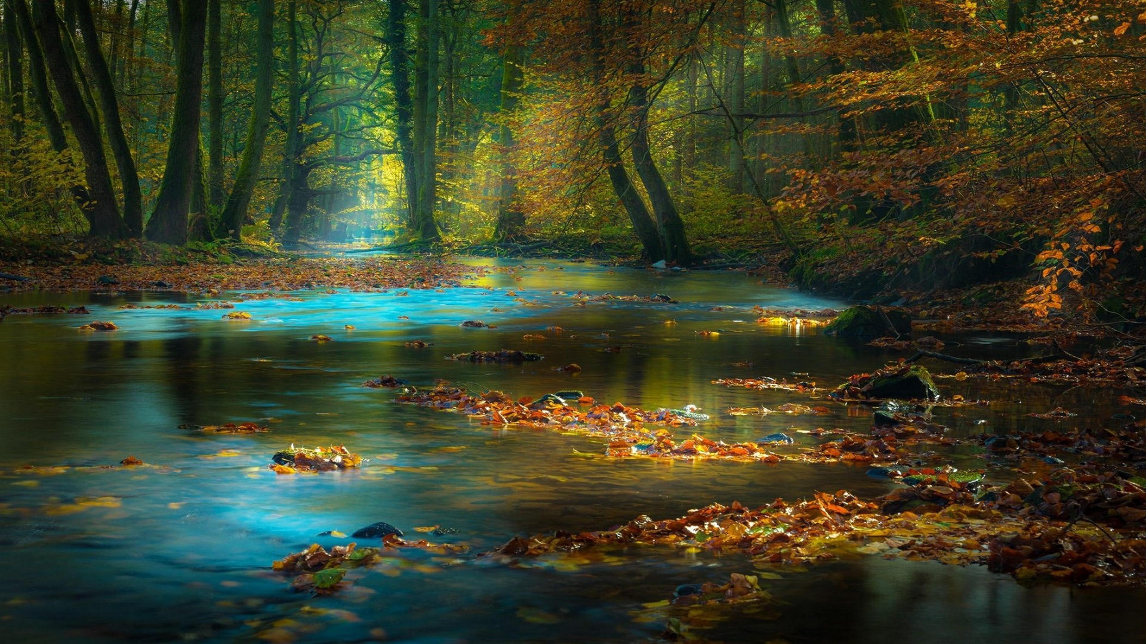 Autumn Landscape Forest Trees Mountain Stream River Fall Leaf And Yellow Leaves Spessart Mountain Range In Bavaria Germany Wallpaper HD 3840x2160, Wallpaper13.com