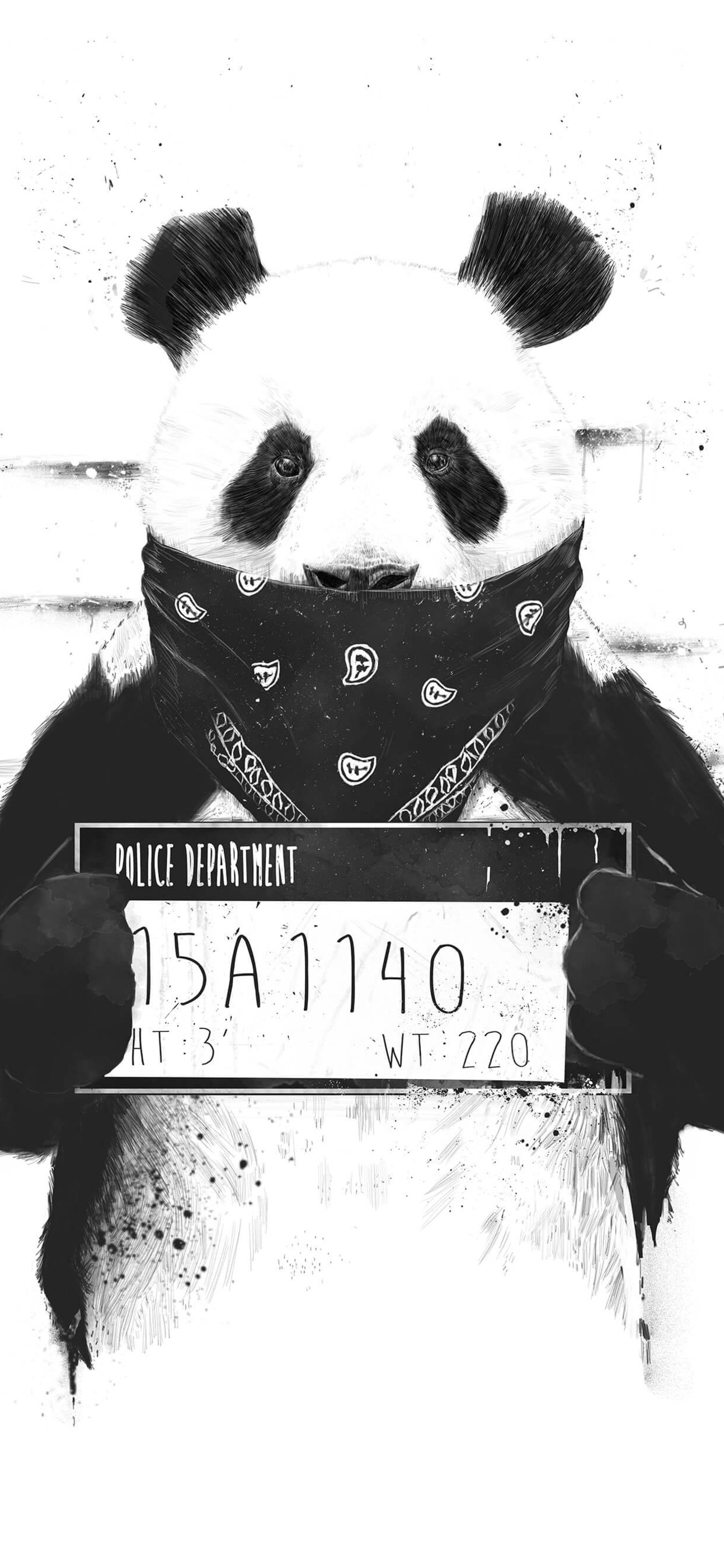 Bad Panda iPhone XS MAX HD 4k Wallpaper, Image, Background, Photo and Picture