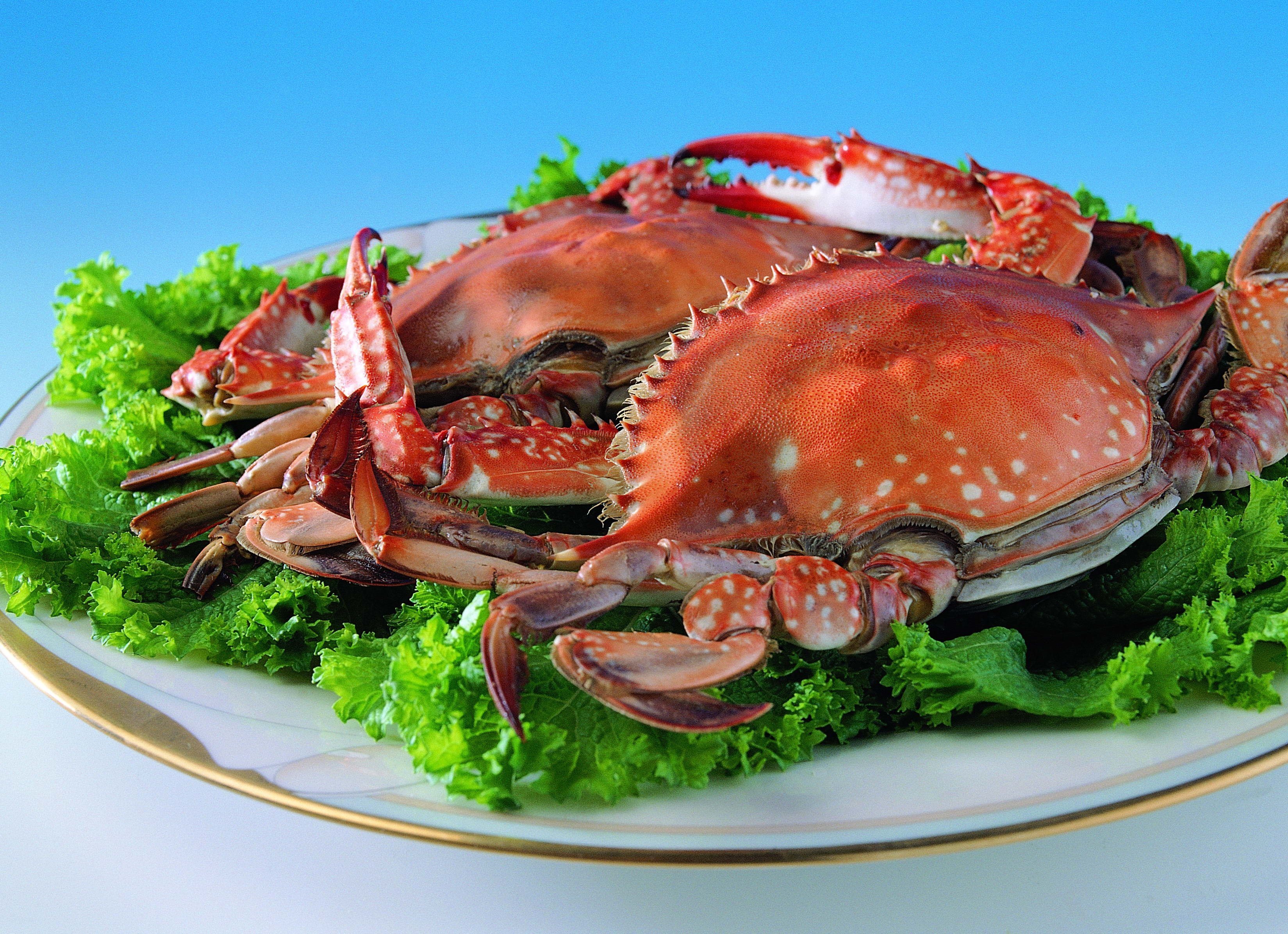 Wallpaper, food, fish, Plate, crabs, seafood, cabbage, parsley, dish, invertebrate, animal source foods, decapoda, crustacean, dungeness crab, spiny lobster, king crab, soft shell crab 3298x2393