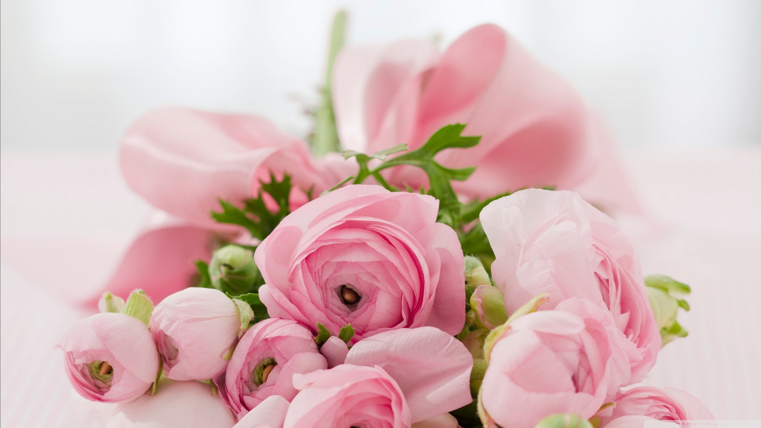 Pink Flowers Bridal Bouquet Ultra HD Desktop Background Wallpaper for 4K UHD TV, Widescreen & UltraWide Desktop & Laptop, Multi Display, Dual Monitor, Tablet
