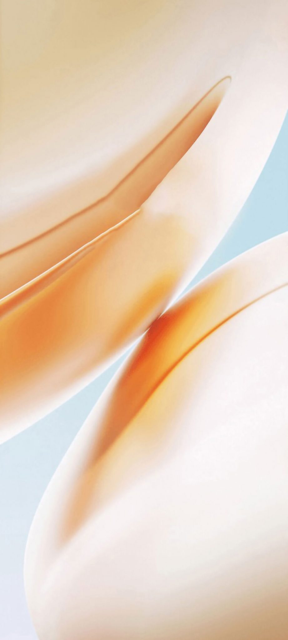 OnePlus 8 Wallpaper (Leaked) are in Full HD Resolution