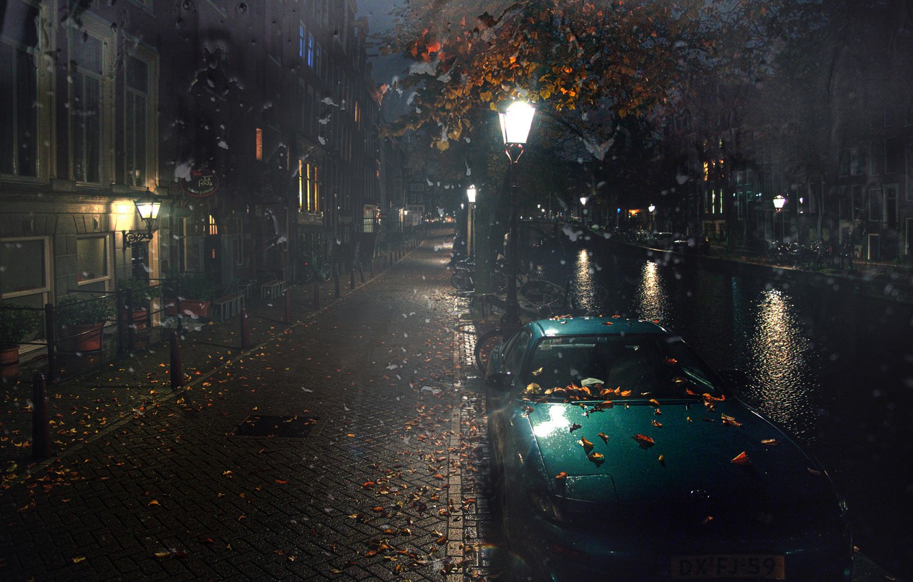 Wallpaper auto, autumn, leaves, water, night, rain, street, Amsterdam, lights, Gordeev Edward image for desktop, section город